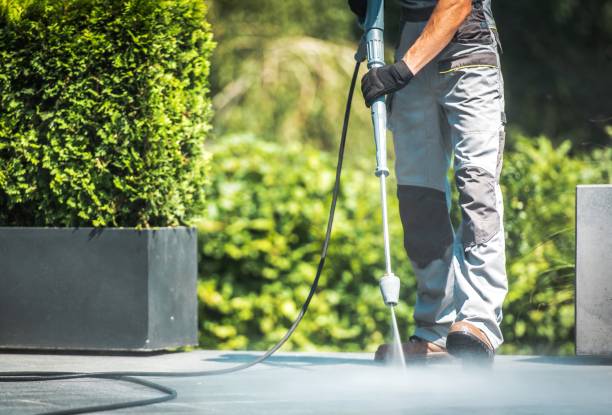 Best Driveway Pressure Washing  in Newberry, FL
